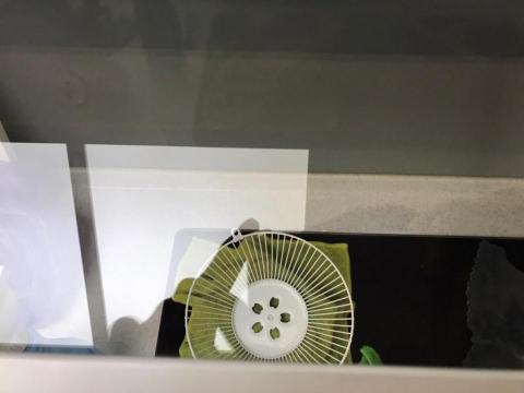 阪威細清，讓您家從工地變美寓 - 