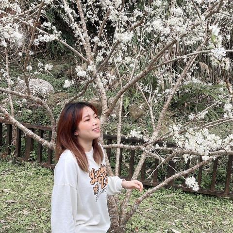 提供韓語服務的專家邱如雙