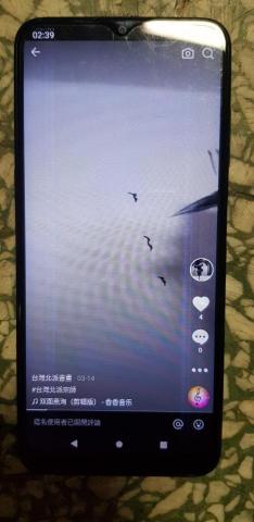 國家二級書畫師蕭瑞莆 - 抖音國際版，台灣北派書畫，youtube明代書法