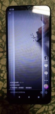 國家二級書畫師蕭瑞莆 - 抖音國際版，台灣北派書畫