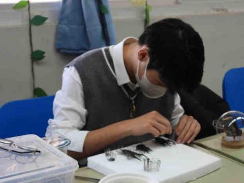 盧鈺翔 - 現場示範製作標本