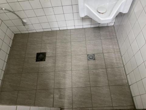 林承洋 -  林承洋 -