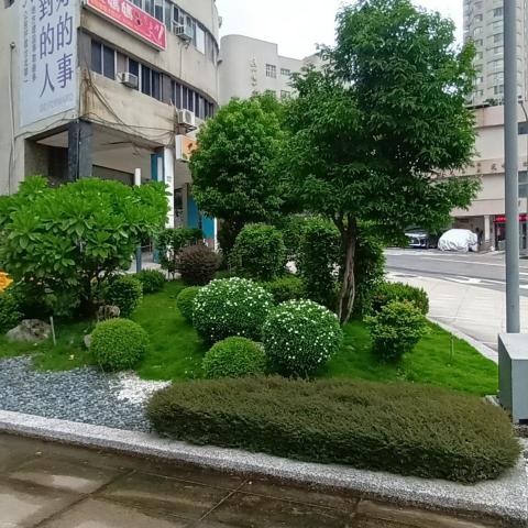 提供人工草皮服務的專家何之正