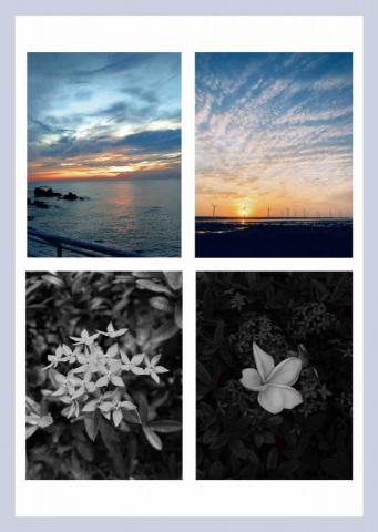 徐慧沂 - 攝影作品