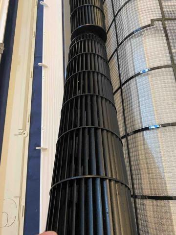 牛妹爸媽 - 清洗後3