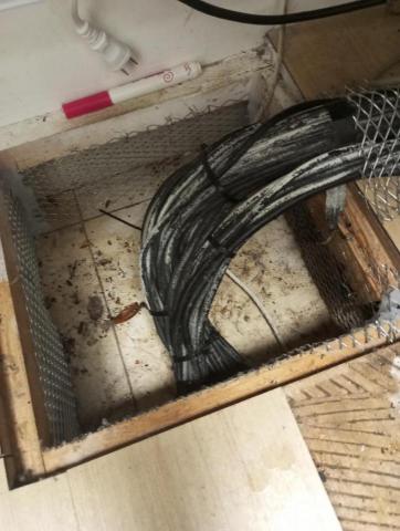 嘉澤滅鼠封堵防治工程 - 教會鼠害封堵 嘉澤滅鼠封堵防治工程 - 教會鼠害封堵