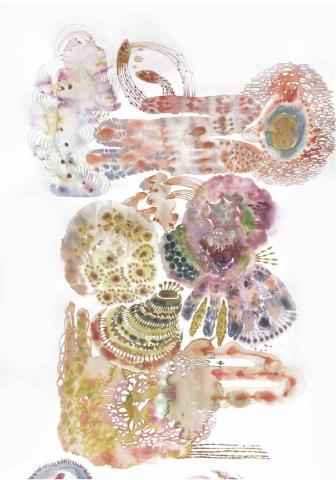 王晴 - 水彩全開作品