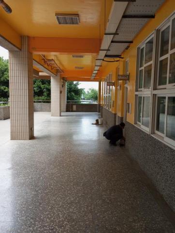 嘉澤滅鼠封堵防治工程 - 小學教室鼠害封堵施工 嘉澤滅鼠封堵防治工程 - 小學教室鼠害封堵施工