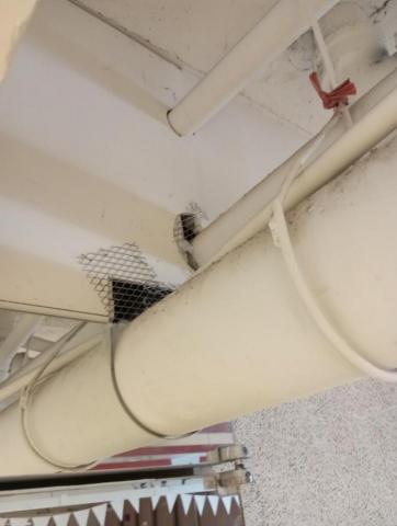 嘉澤滅鼠封堵防治工程 - 辦公大樓鼠害封堵 嘉澤滅鼠封堵防治工程 - 辦公大樓鼠害封堵