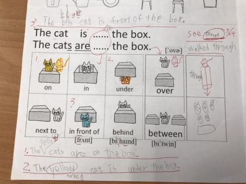 許美鈴 - Picture Book Before Reading Activity + sentence writing