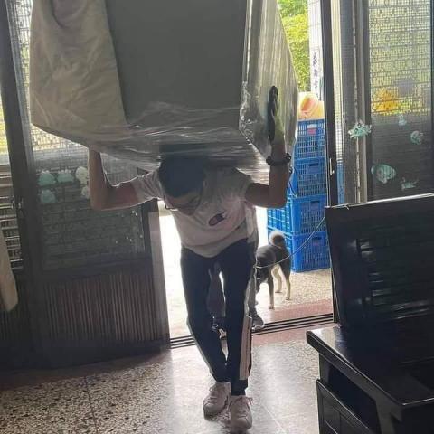 萬能義勇軍 - 電器搬揹