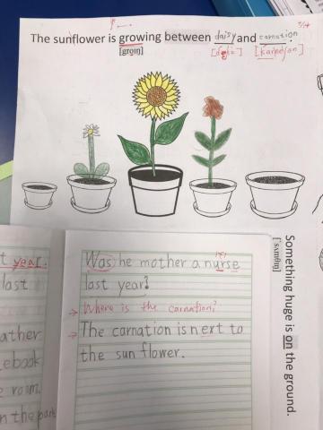 許美鈴 - Brainstorm Activity + sentence writing