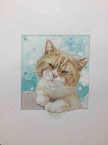 杜比作品 - 手繪(水彩)家貓 杜比作品 - 手繪(水彩)家貓