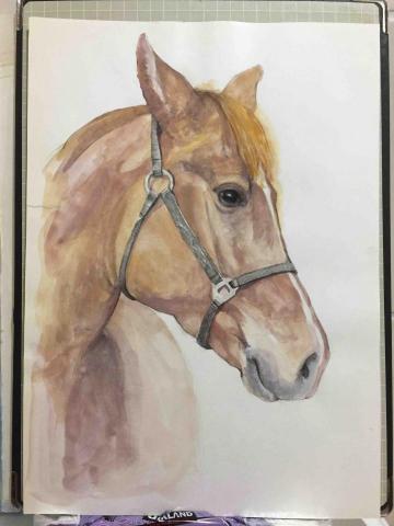 杜比作品 - 手繪(水彩) 杜比作品 - 手繪(水彩)