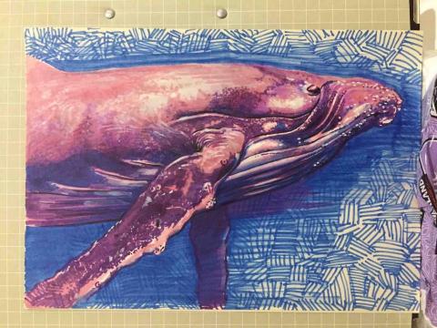 杜比作品 - 手繪草圖(奇異筆)鯨 杜比作品 - 手繪草圖(奇異筆)鯨