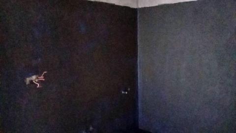 裝修-清潔-防水-馬姐 - 