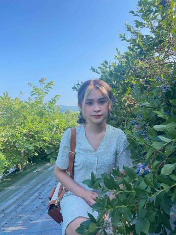 提供小學數學服務的專家tsai hsuan