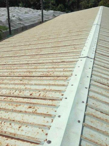 鑫旺防水工程 - 施工前