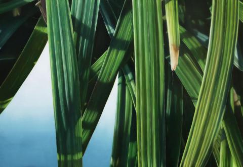 冉冉美術｜Yen Chun - ✨教師油畫作品