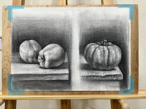 冉冉美術｜Yen Chun - ✨炭筆素描課堂示範