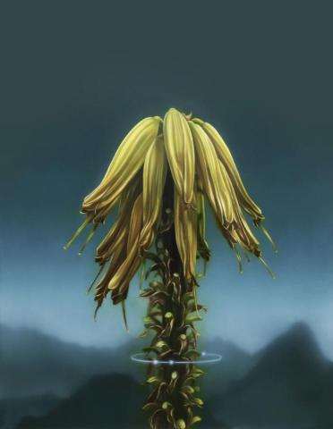 冉冉美術｜Yen Chun - ✨教師油畫作品