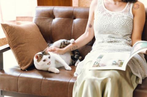 生活不易攝影 - 寵物攝影棚拍 生活不易攝影 - 寵物攝影棚拍