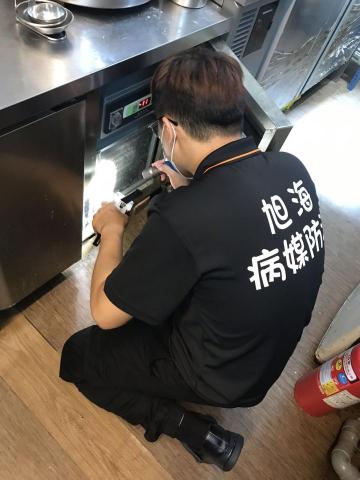 旭海病媒防治企業社 - 尋找害蟲