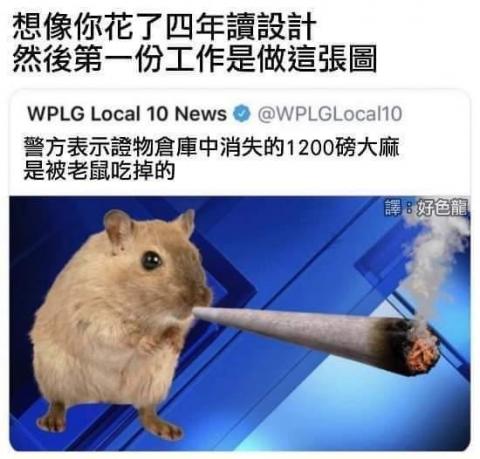 提供藝術照服務的專家T70