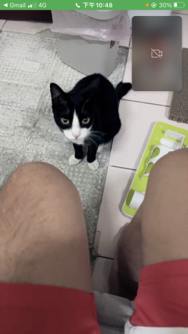 愛貓的保姆小樂 - 減敏訓練