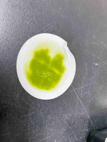 毛弡實業 - 小球藻