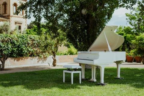 Sense Entertainment｜活動音樂藝術企劃 - 