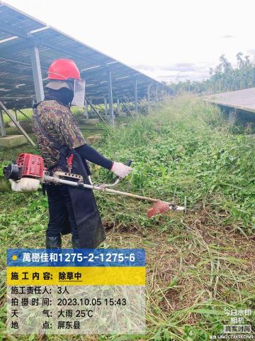 廣信全企業有限 - 除草