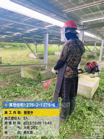 廣信全企業有限 - 太陽能光電場除草