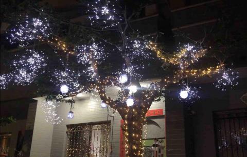 蝴蝶 園藝系列 - 社區庭院夜間燈飾