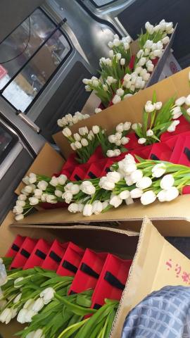 一台車凸歸呆丸 - 專櫃花卉運送