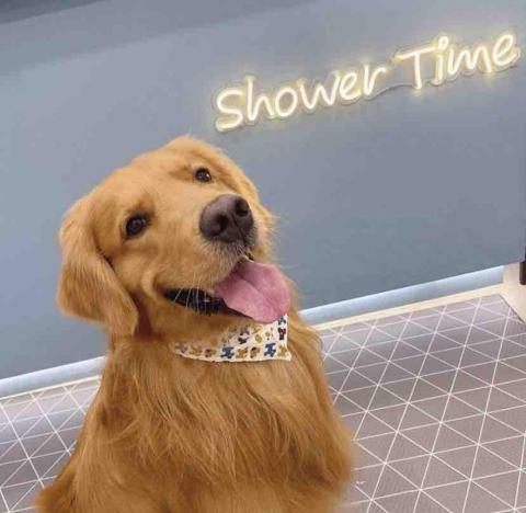 讓寶貝「汪旺好澡」吧 - 洗完澡澡好舒服唷