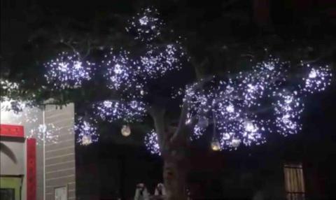 蝴蝶 園藝系列 - 白光可閃爍燈飾