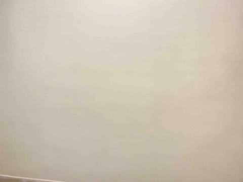 宏德塗裝油漆工程 - 壁癌藥水二次上完