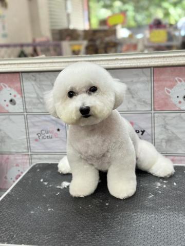 溱溱寵物澡堂 - 