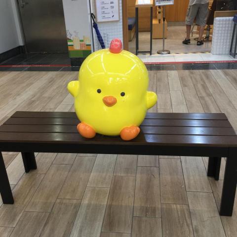 提供114年電費服務的專家許雯