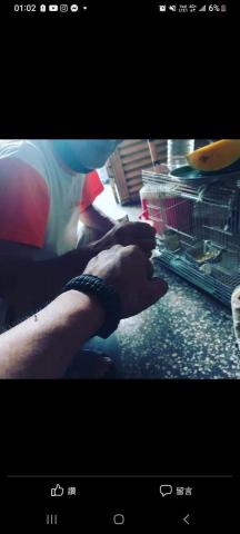 揮博雄湧油漆工程及清潔 - 感謝老屋主的 鼓勵。完成。