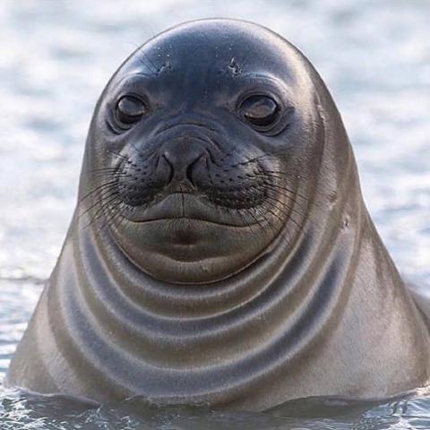 提供行銷公司台南服務的專家陳昱州