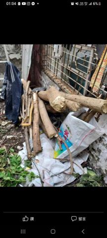 揮博雄湧油漆工程及清潔 - 因案場年久無人居住，屋內長了許多樹木 整理中