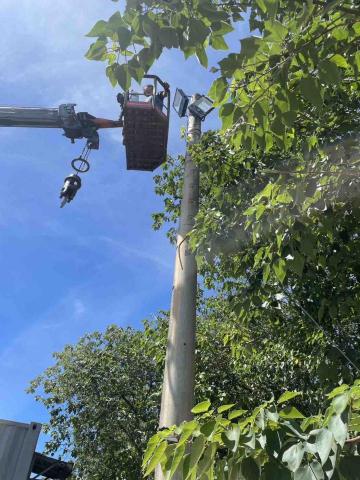 陳文柏 - 高空裝燈