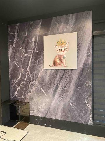 聖辰地板設計(塑膠地板代工達人賴桑) - JETCOAT卡扣防水牆板 聖辰地板設計(塑膠地板代工達人賴桑) - JETCOAT卡扣防水牆板