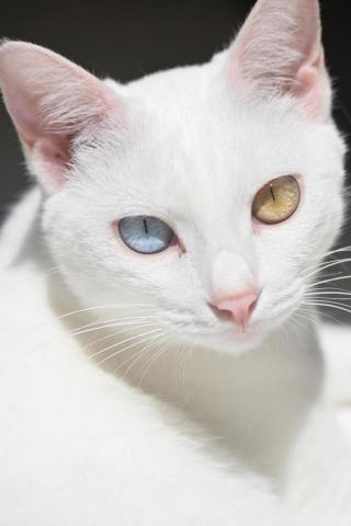 張仲緯 - 攝影、調色範例