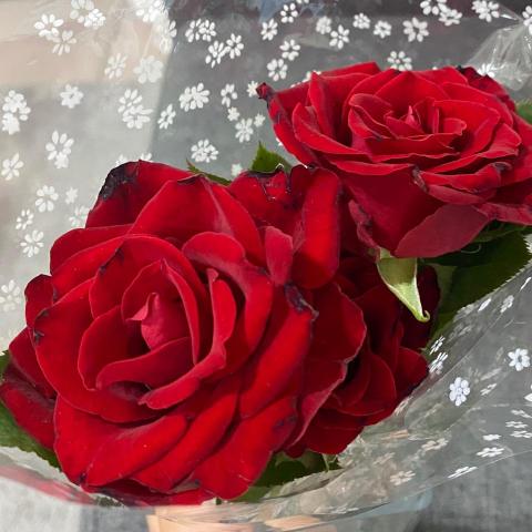 提供所得稅退稅服務的專家兼職會計An