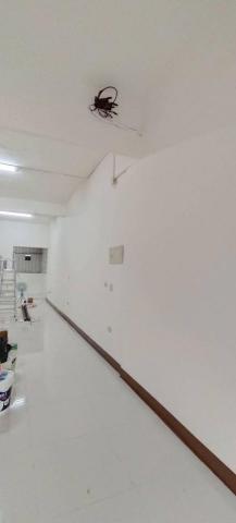 王依婷油漆團隊 - 案17施工完成