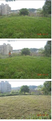 霖橙個人工作室 - 五股公園除草