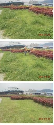 霖橙個人工作室 - 五股除草